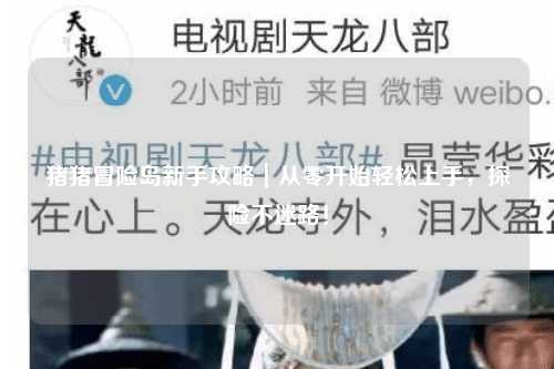 猪猪冒险岛新手攻略｜从零开始轻松上手，探险不迷路！