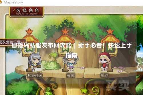 冒险岛私服发布网攻略 | 新手必看！快速上手指南